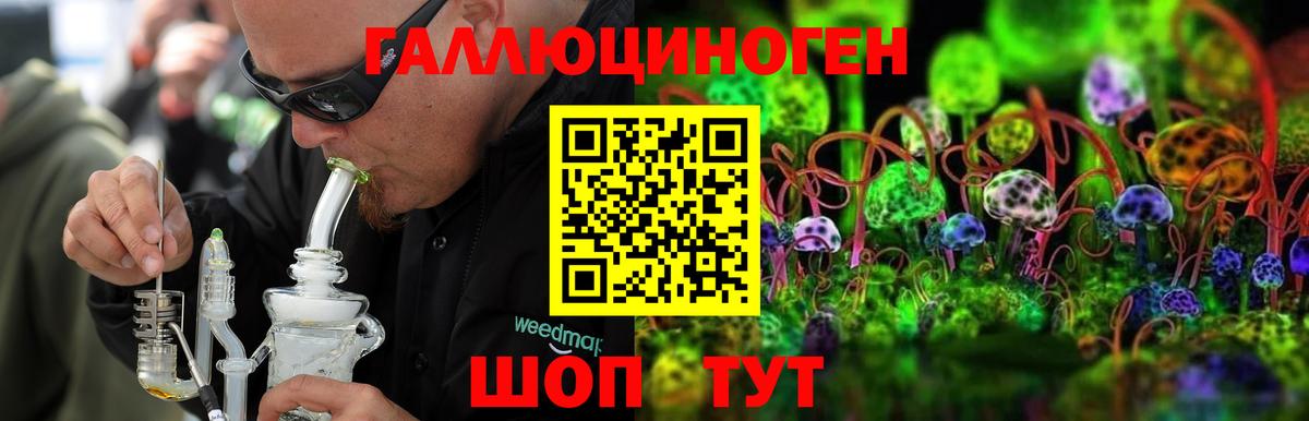 Видное  Псилоцибиновые грибы GOLDEN TEACHER  Вход с VPN 